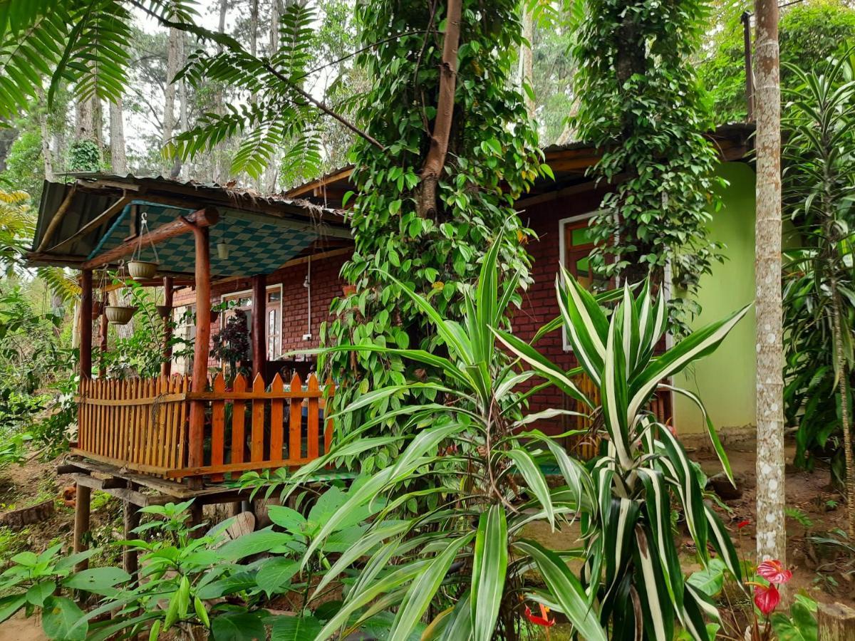 Green Heaven Lodge เอลลา ภายนอก รูปภาพ