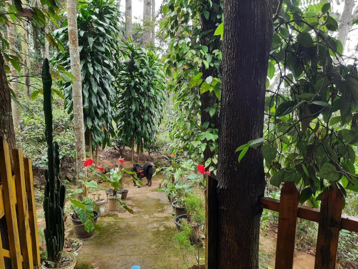 Green Heaven Lodge เอลลา ภายนอก รูปภาพ